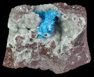 Vibrant Blue Cavansite Cluster on Stilbite - India #67789-1